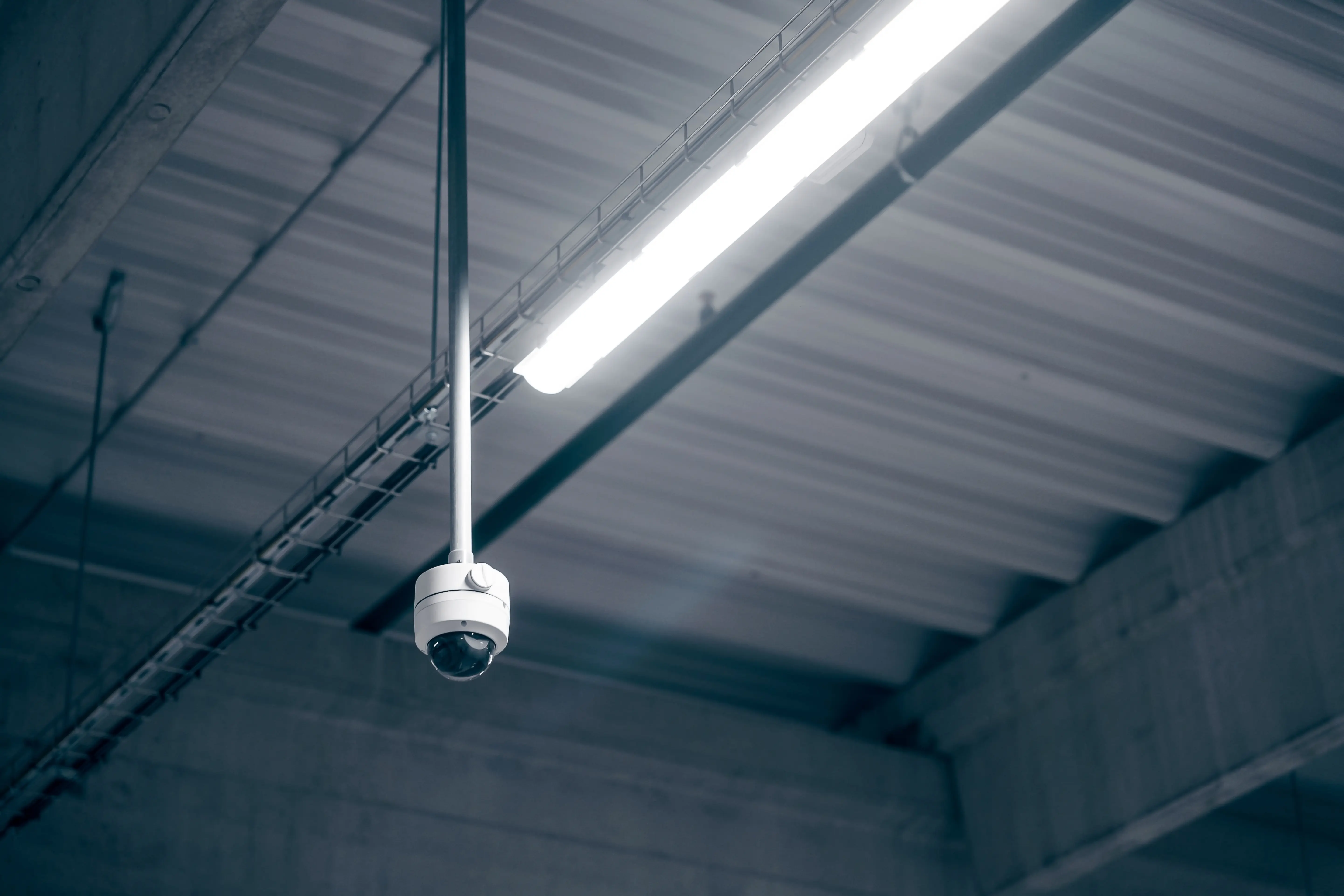 Ceiling-mounted CCTV camera installed in a commercial interior.